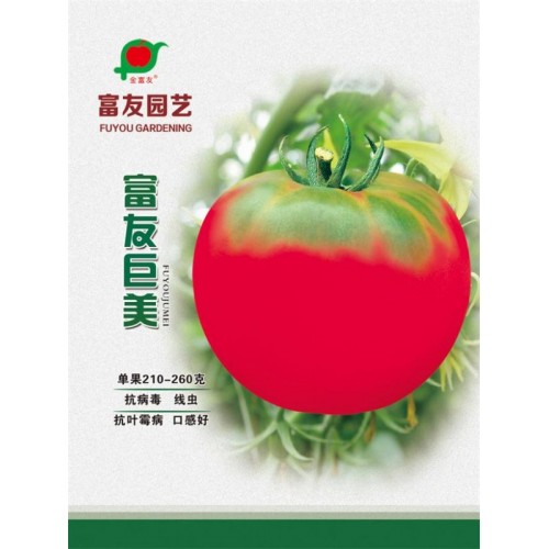沈陽黃瓜種子零售-沈陽蔬菜種子專業供應商